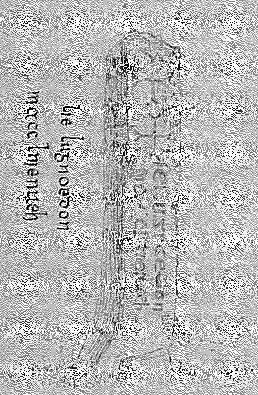Cross-inscribed pillar with ancient inscription, Inchagoill.