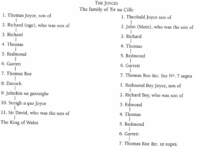 Family tree of Joyces of Tir na Cille.