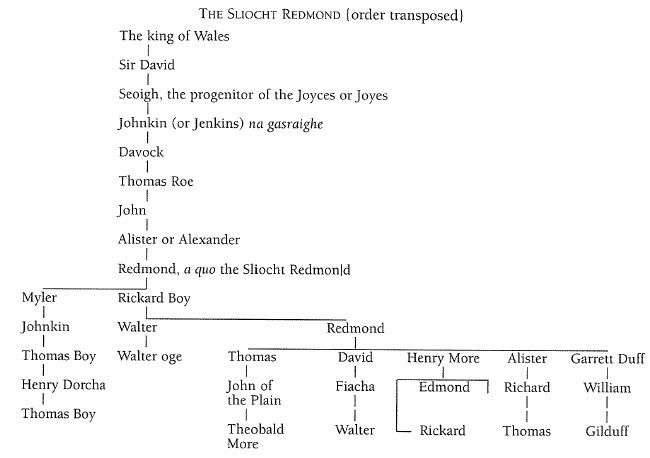 Family tree of The Sliocht Redmond.