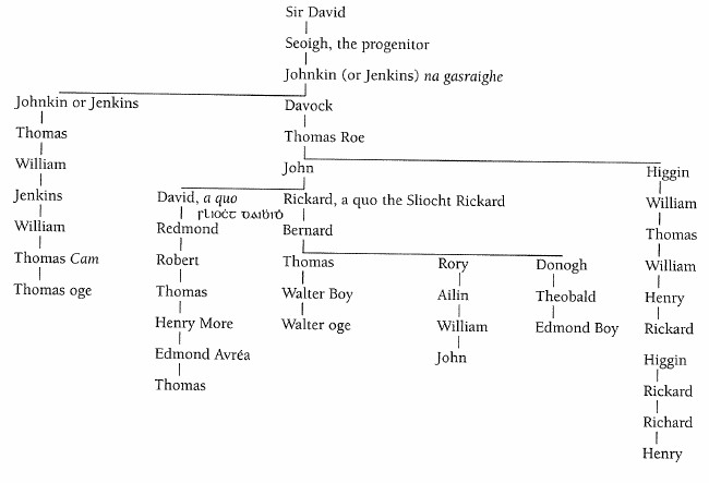Family tree of The Sliocht Rickard Joyce.