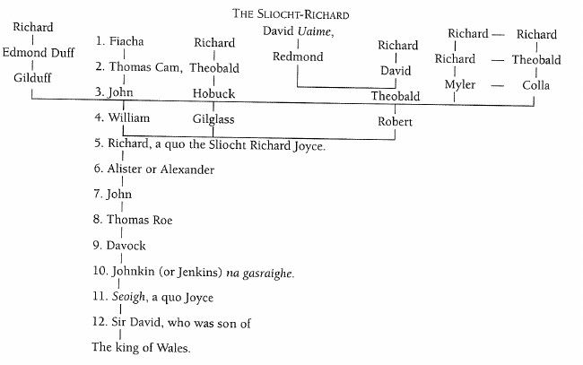 Family tree of The Sliocht-Richard.