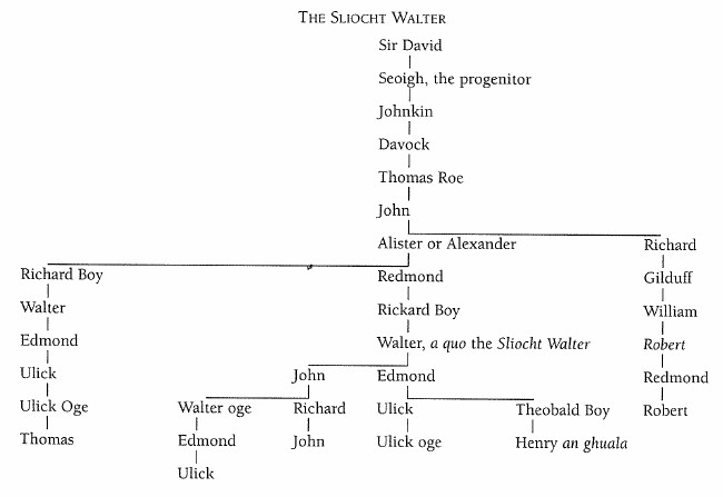 Family tree of The Sliocht Walter.